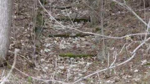 Exterior - Christian-Hoover-House5.jpg