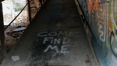 Photo from Aug 2015 fotosharks