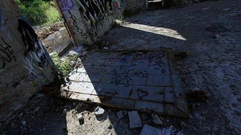 Aug 2015 fotosharks - Barber-Paper-Mill--Georgetown694.jpg