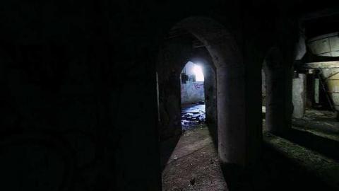 Aug 2015 fotosharks - Barber-Paper-Mill--Georgetown696.jpg