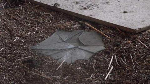 Hatch Farm (2012-2013) - W.-Hatch-Farm17.jpg