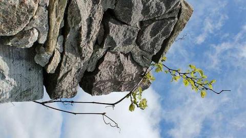 Hatch Farm (2012-2013) - W.-Hatch-Farm21.jpg