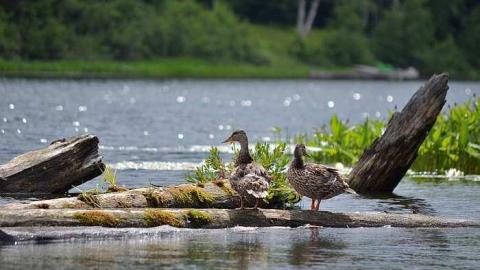 Photo from Booth dock