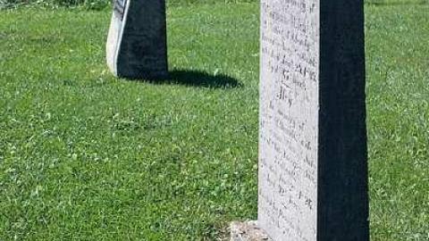 Glenelg Pioneer Cemetery photo 2