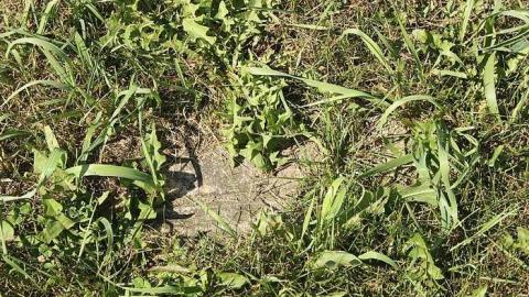 Quigley Corners Cemetery photo 4