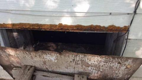 9/4/15 - mfimage.jpg