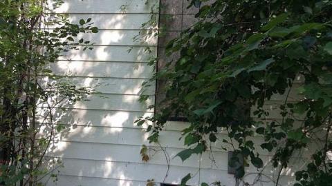 9/4/15 - dqimage.jpg