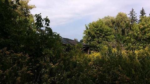 9/4/15 - pdimage.jpg