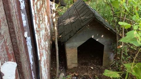 9/4/15 - suimage.jpg