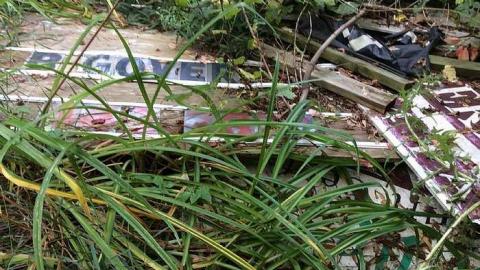 9/4/15 - nfimage.jpg