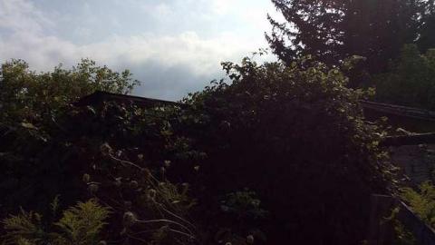 9/4/15 - qqimage.jpg