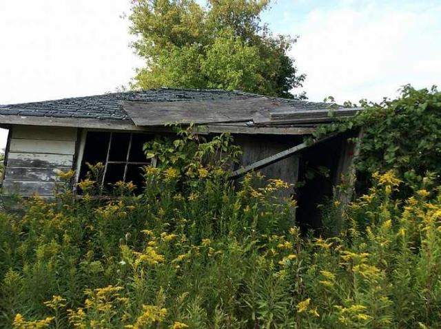 House on the Hill photo 4