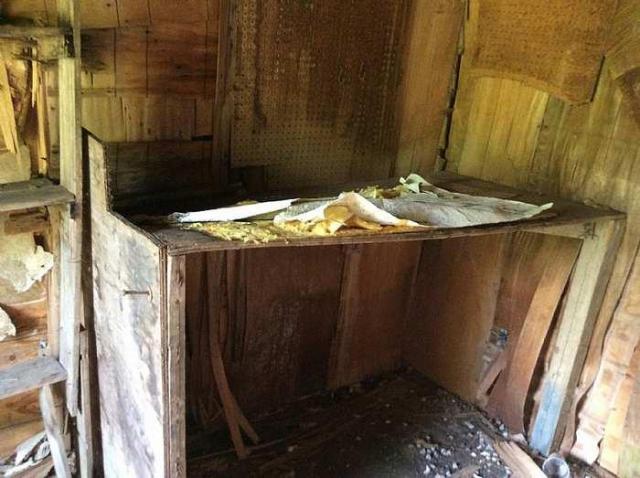 House on the Hill photo 5