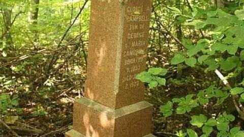 Campbell Cemetery photo 4