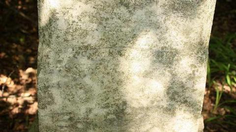 Campbell Cemetery photo 3