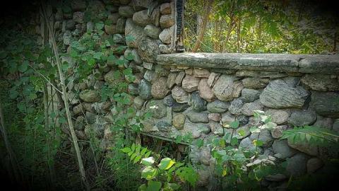 Hawkestone Homestead - Studio_20150907_110906.jpg