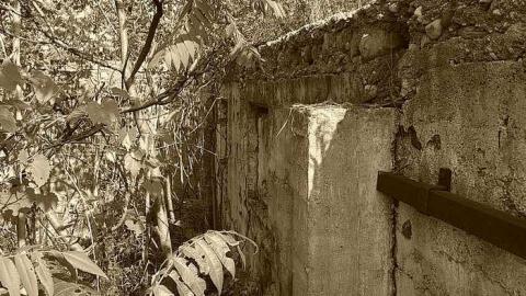 Hawkestone Homestead - Studio_20150907_110800.jpg