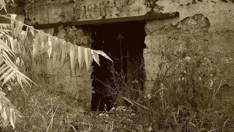 Photo from Hawkestone Homestead