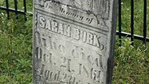 Photo from Sept 2015