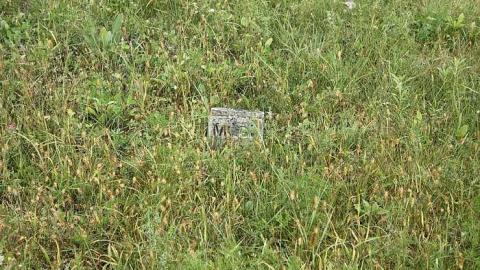 Photo from Sept 2015