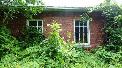 Scout's Honour - Wades-Corners-School--S.S.-822.jpg