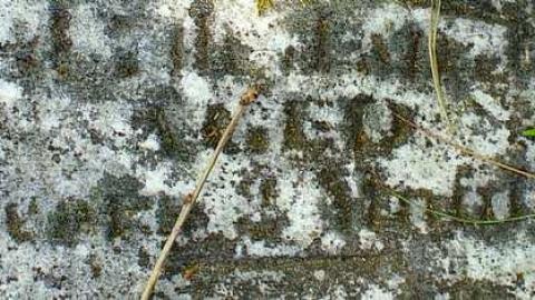 Turbulent Times - Long-Pioneer-Cemetery2.jpg