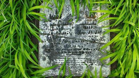 Long Pioneer Cemetery photo 4