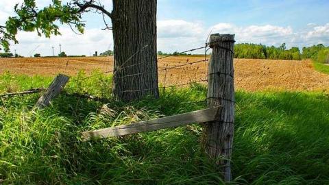 Long Pioneer Cemetery photo 3