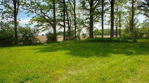 Turbulent Times - Long-Pioneer-Cemetery6.jpg