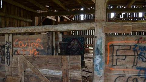 May - Farm-March-rd.-Kanata22.jpg