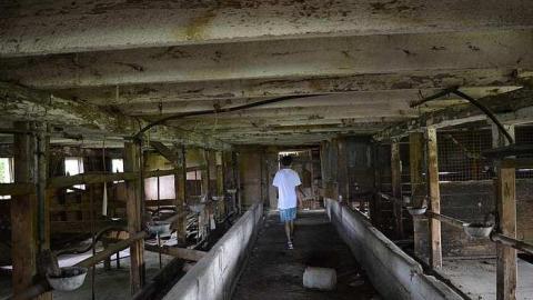 May - Farm-March-rd.-Kanata17.jpg