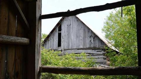 May - Farm-March-rd.-Kanata27.jpg