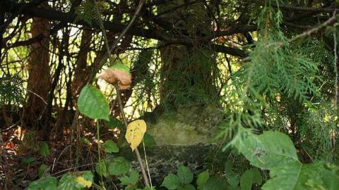 Sept 2015 - Bell-Cemetery1.jpg