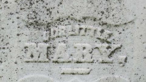 Where Is He? - Where-Is-He29.jpg