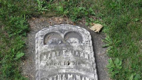 Where Is He? - Where-Is-He19.jpg