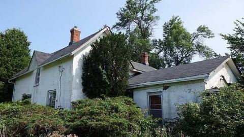 Swallowing '15 - bvaaDSC06868.jpg