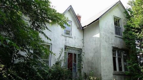 Swallowing '15 - kvfiDSC06875.jpg