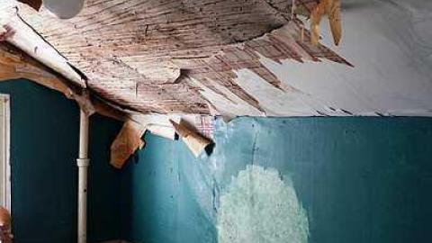 Swallowing '15 - roneDSC06913.jpg