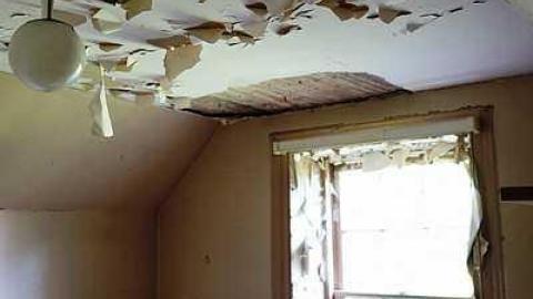 Swallowing '15 - mzsiDSC06919.jpg