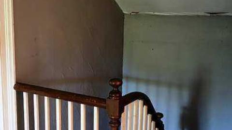 Swallowing '15 - emekDSC06938.jpg