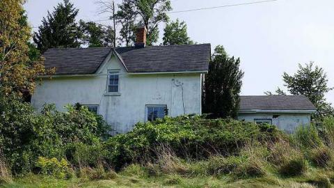 Swallowing '15 - veaoDSC06980.jpg