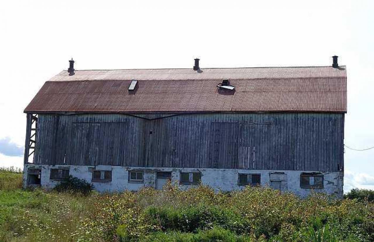 Swallowing '15 - qlamDSC06981.jpg