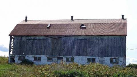 Swallowing '15 - qlamDSC06981.jpg