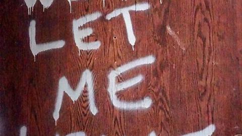 Mansion By The Lake - Pioneer-Mansion28.jpg