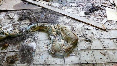 August 2015 - i-P1030759.jpg