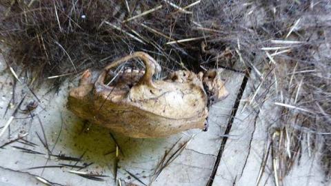 August 2015 - w-P1030760.jpg