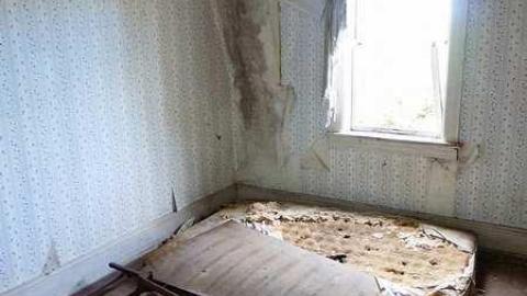 August 2015 - z-P1030766.jpg