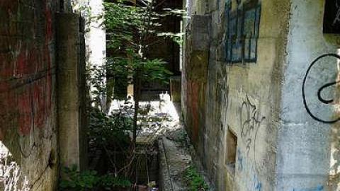 Crooks '15 - Darnley-Mill-Crooks-Hollow42.jpg