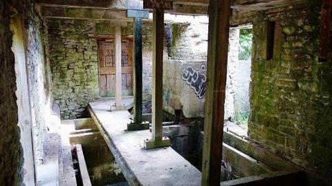 Crooks '15 - Darnley-Mill-Crooks-Hollow240.jpg