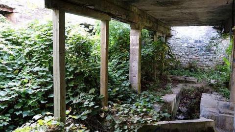 Crooks '15 - Darnley-Mill-Crooks-Hollow228.jpg